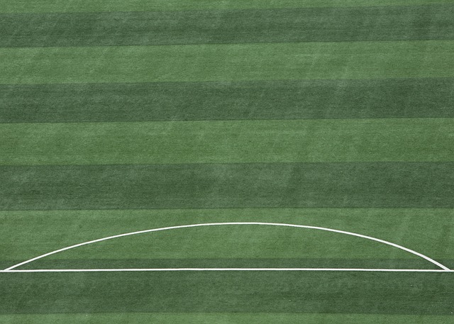 选修课程的 选修课程的