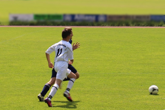 则经常作为 则经常作为