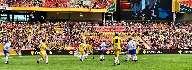 再次绽放光 再次绽放光