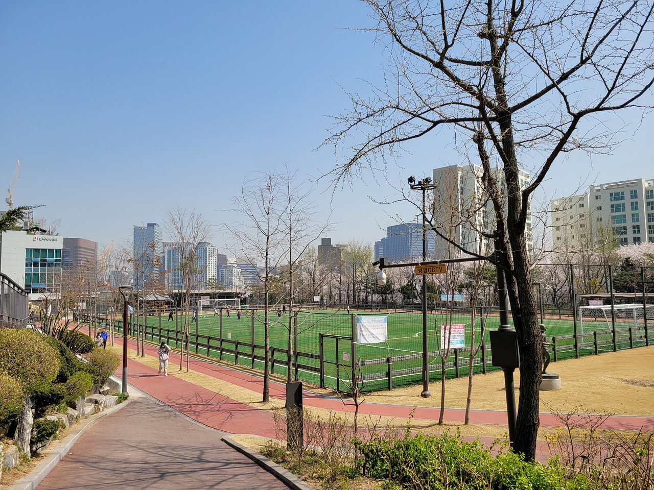 中国女子冰 中国女子冰