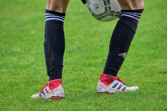 佛掘金核心 佛掘金核心