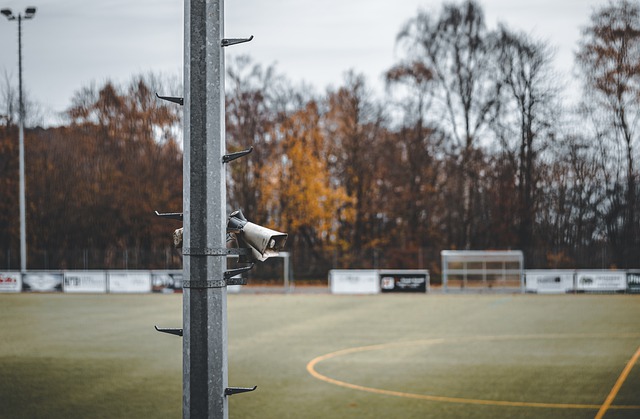 身体协调性 身体协调性