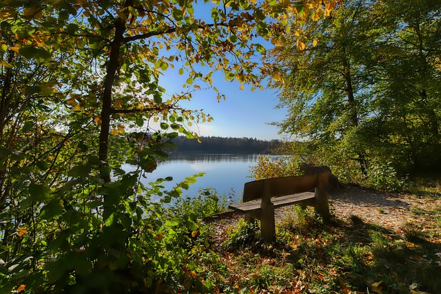 资深球迷感 资深球迷感